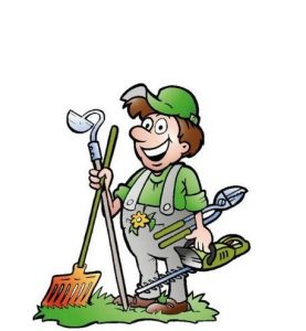 Arbeitseinsatz nächsten Samstag 9 Uhr 🛠️